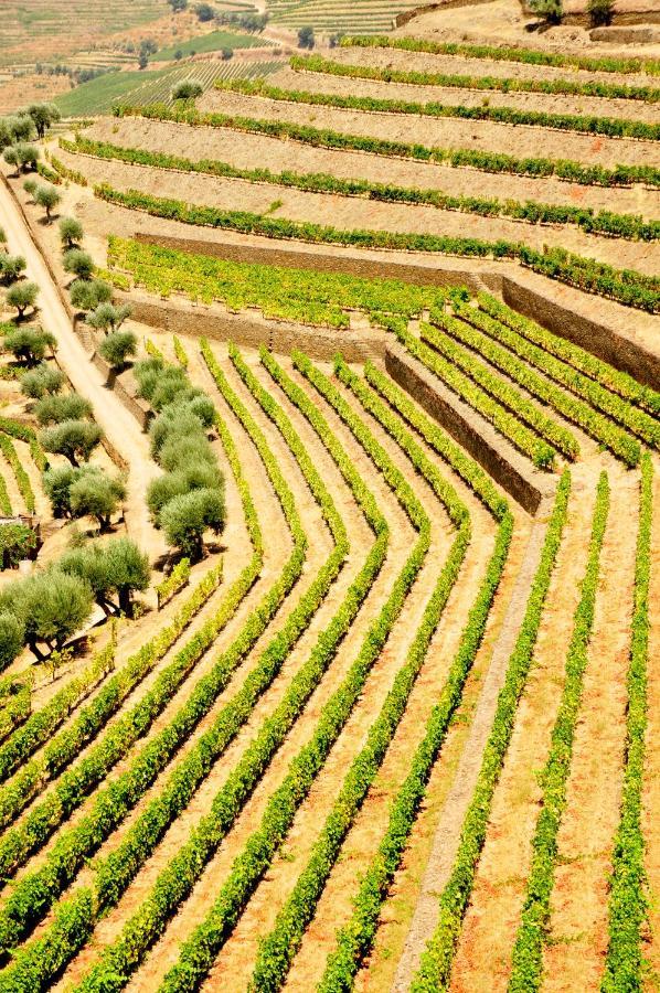 Casas De Pousadouro ไบเยา ภายนอก รูปภาพ